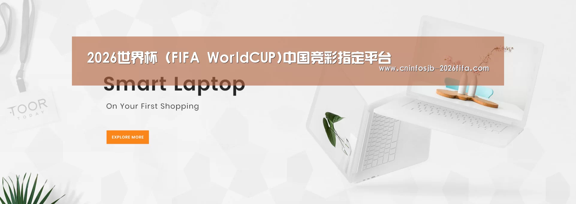 某某网络科技有限公司