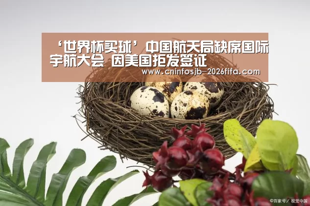世界杯买球网站