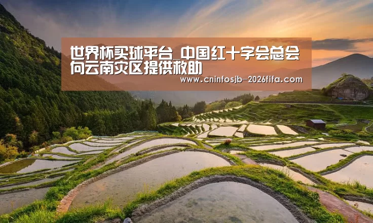 世界杯买球平台