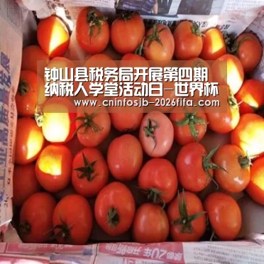 钟山县税务局开展第四期纳税人学堂活动日-世界杯买球平台(图2) 世界杯买球