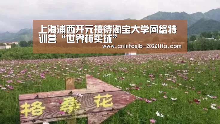 世界杯买球