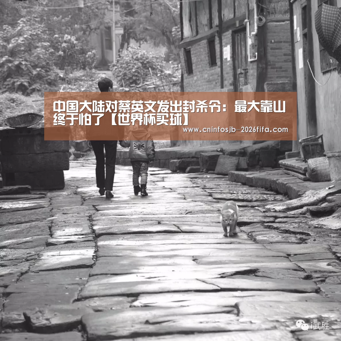 世界杯买球平台