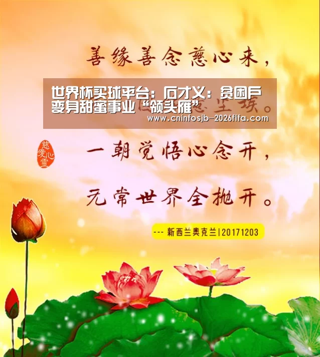 世界杯买球平台