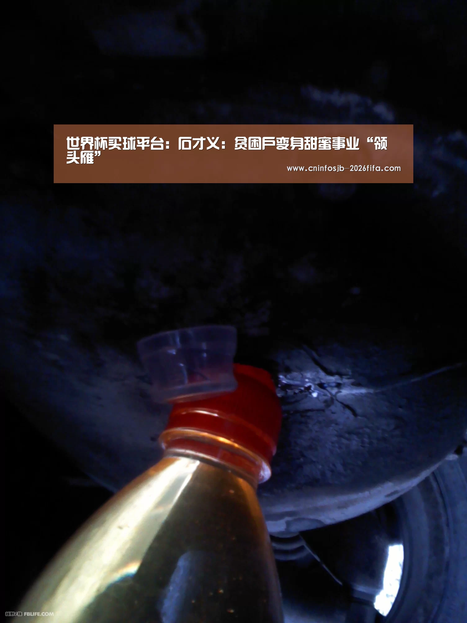 世界杯买球网站